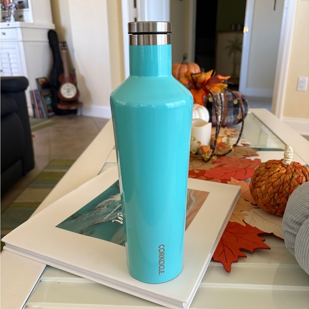 Corkcicle Aqua  25oz Wine Bottle